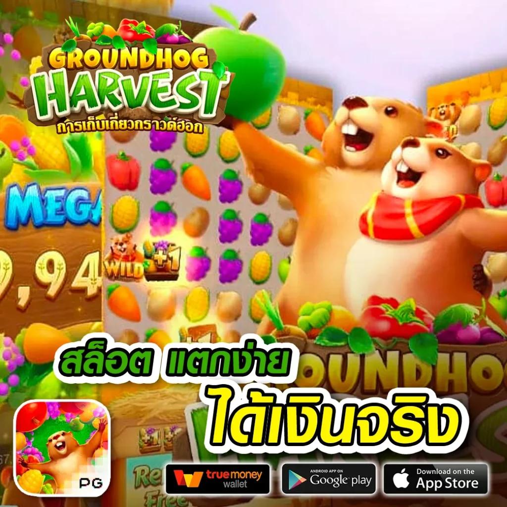 50 รับ 100 ทํา 300 ถอน ได้ หมด ล่าสุด พร้อมโปรโมชั่นเด็ดจาก PG