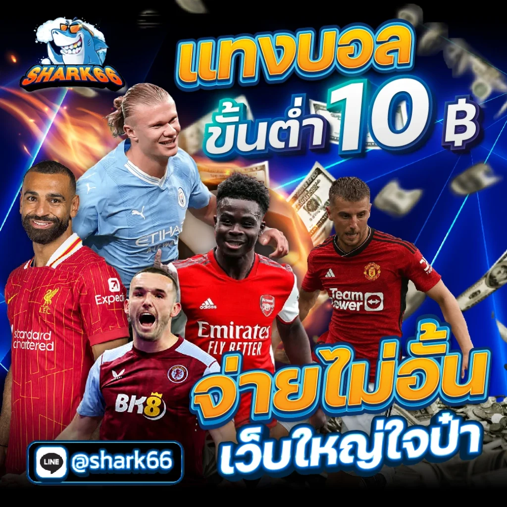 สมัครสมาชิก 555สล็อต แหล่งรวมเกมสล็อตยอดนิยม พร้อมโปรโมชั่นสุดคุ้ม