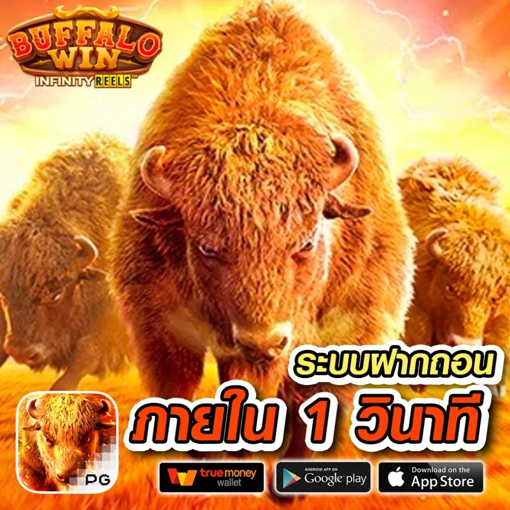 เครดิตฟรี 50 ยืนยันบัตรประชาชน ฝาก-ถอน รวดเร็ว พร้อมโปรโมชั่นสุดคุ้ม